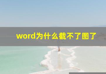 word为什么截不了图了