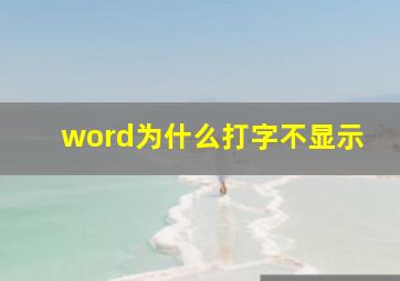 word为什么打字不显示