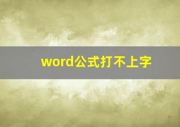 word公式打不上字