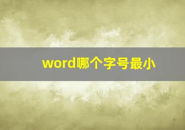 word哪个字号最小