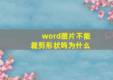 word图片不能裁剪形状吗为什么