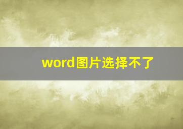 word图片选择不了