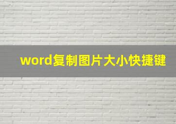 word复制图片大小快捷键