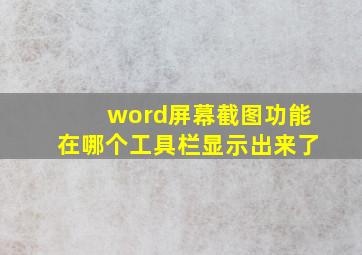 word屏幕截图功能在哪个工具栏显示出来了