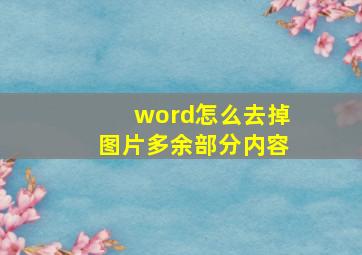 word怎么去掉图片多余部分内容