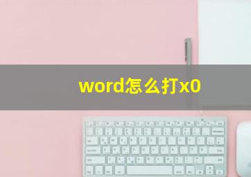 word怎么打x0