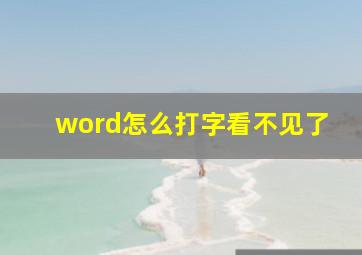 word怎么打字看不见了