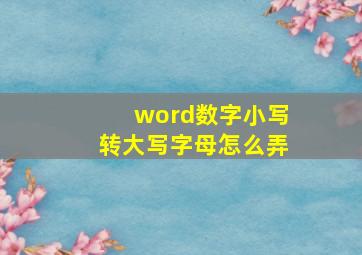 word数字小写转大写字母怎么弄