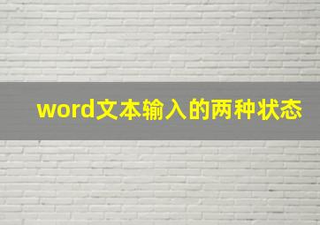 word文本输入的两种状态