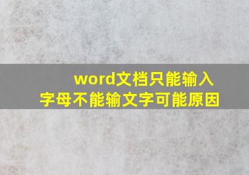 word文档只能输入字母不能输文字可能原因