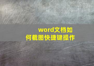 word文档如何截图快捷键操作