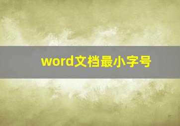 word文档最小字号