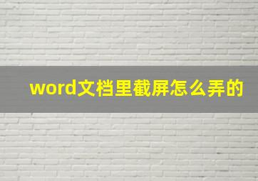 word文档里截屏怎么弄的