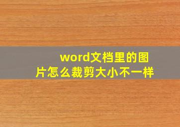 word文档里的图片怎么裁剪大小不一样