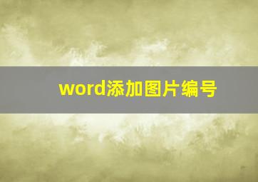 word添加图片编号