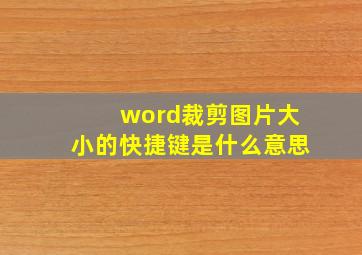 word裁剪图片大小的快捷键是什么意思