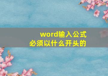 word输入公式必须以什么开头的