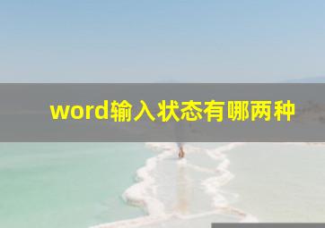 word输入状态有哪两种