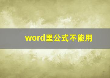 word里公式不能用