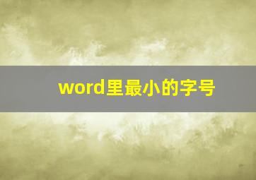 word里最小的字号