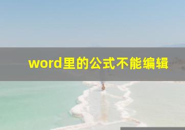 word里的公式不能编辑