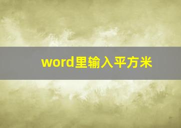 word里输入平方米