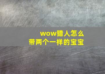 wow猎人怎么带两个一样的宝宝