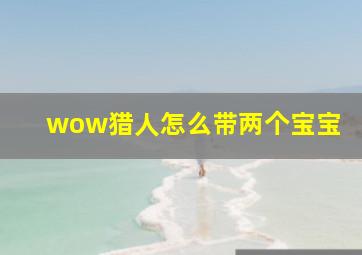 wow猎人怎么带两个宝宝