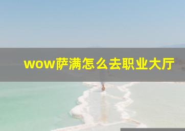 wow萨满怎么去职业大厅