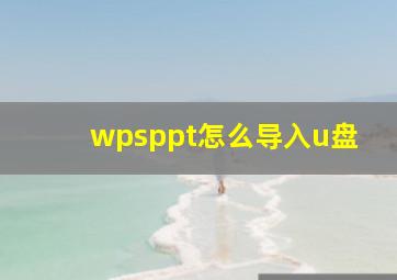 wpsppt怎么导入u盘