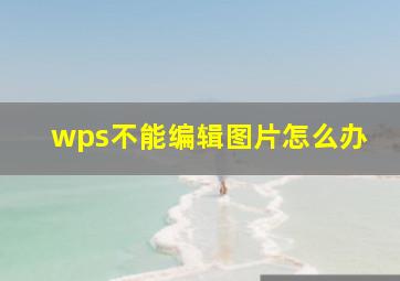 wps不能编辑图片怎么办