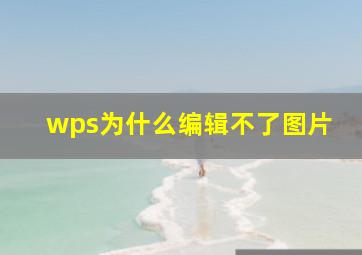 wps为什么编辑不了图片