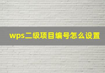 wps二级项目编号怎么设置