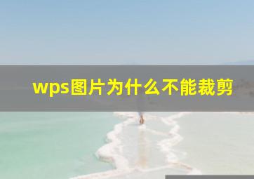 wps图片为什么不能裁剪