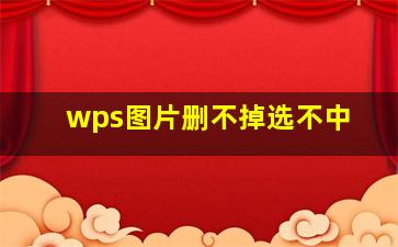 wps图片删不掉选不中