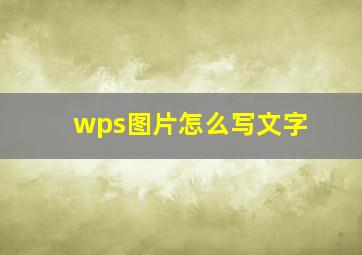 wps图片怎么写文字