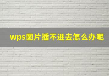 wps图片插不进去怎么办呢