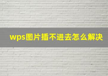 wps图片插不进去怎么解决