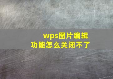 wps图片编辑功能怎么关闭不了