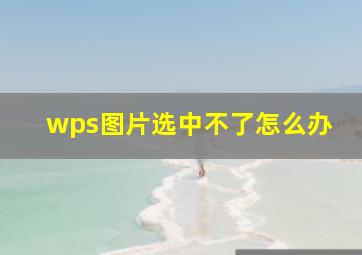 wps图片选中不了怎么办