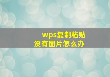 wps复制粘贴没有图片怎么办