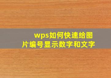 wps如何快速给图片编号显示数字和文字