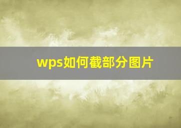 wps如何截部分图片