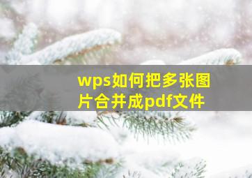 wps如何把多张图片合并成pdf文件