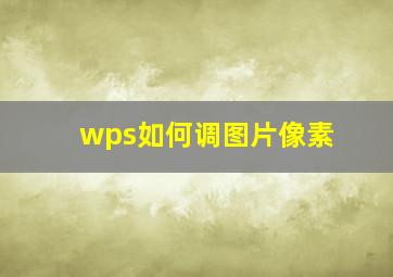 wps如何调图片像素