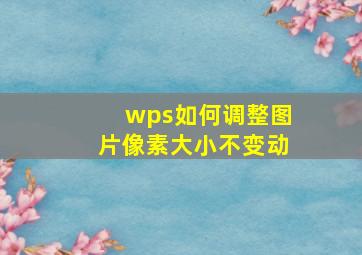 wps如何调整图片像素大小不变动