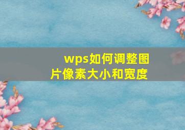 wps如何调整图片像素大小和宽度