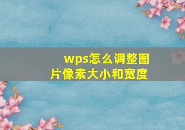 wps怎么调整图片像素大小和宽度