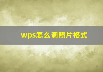 wps怎么调照片格式