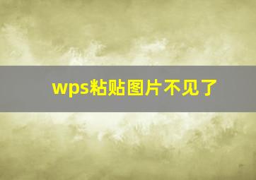 wps粘贴图片不见了